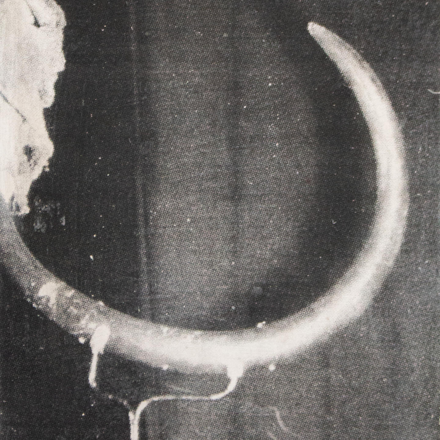 ATLAS (Mamut)