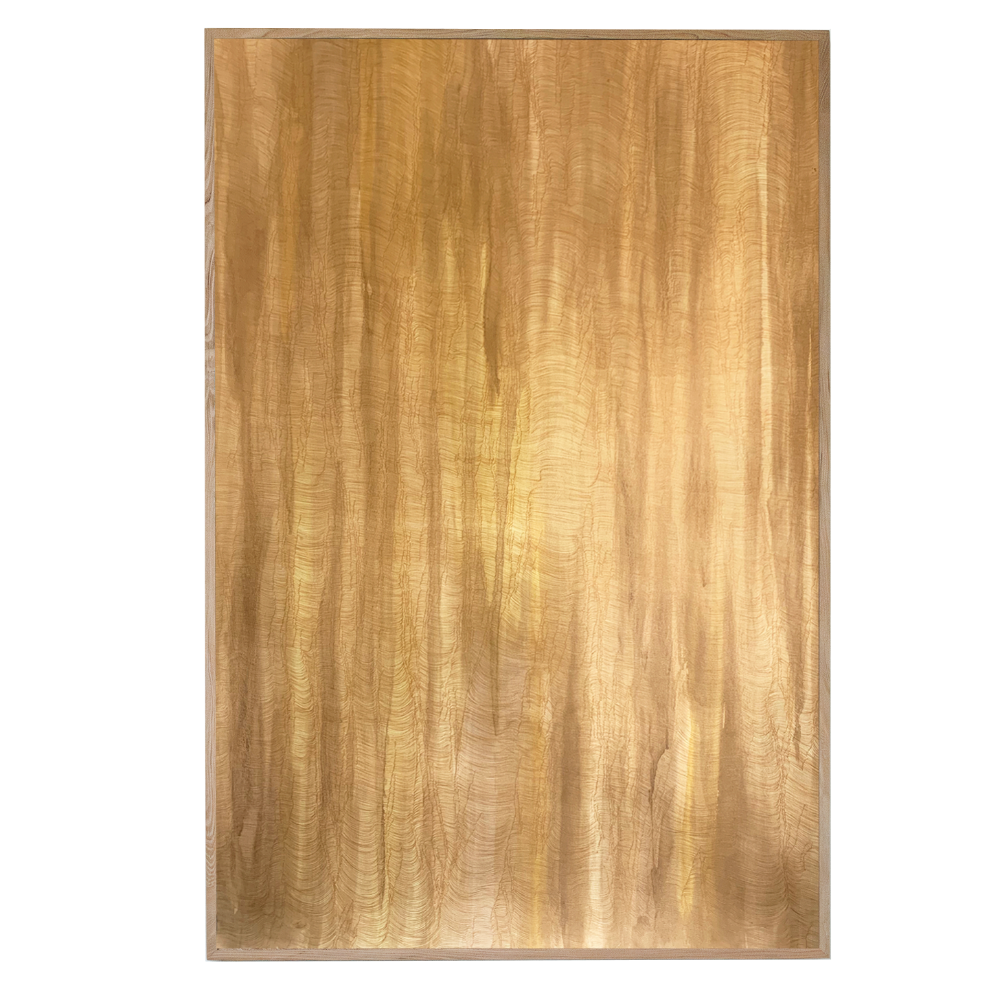 Corpo VII