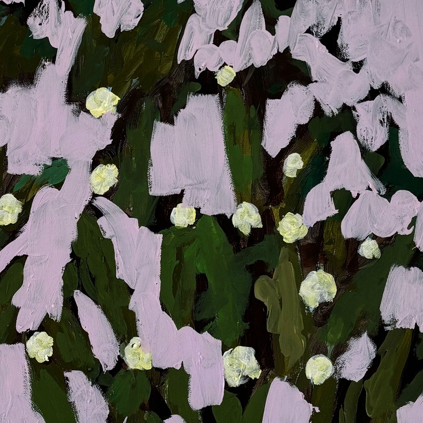 Rosas blancas