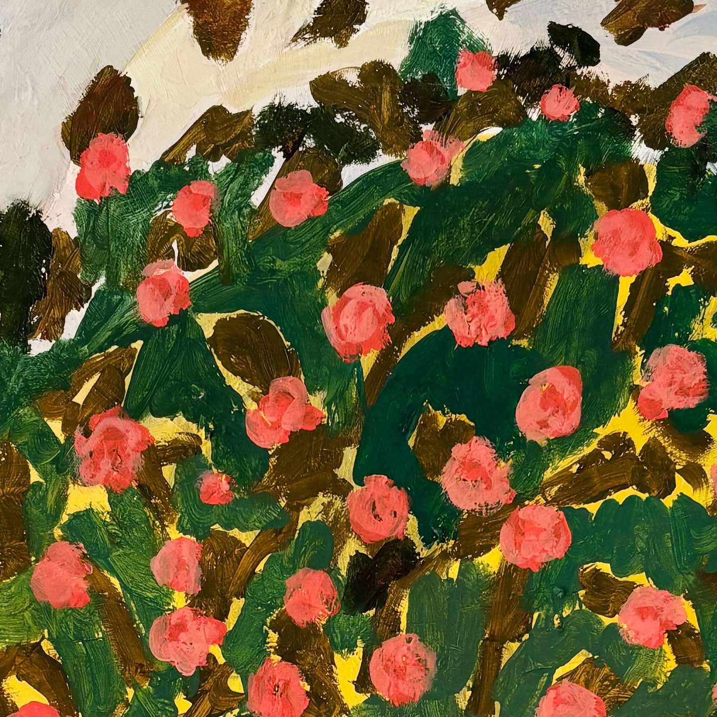Rosa del arco
