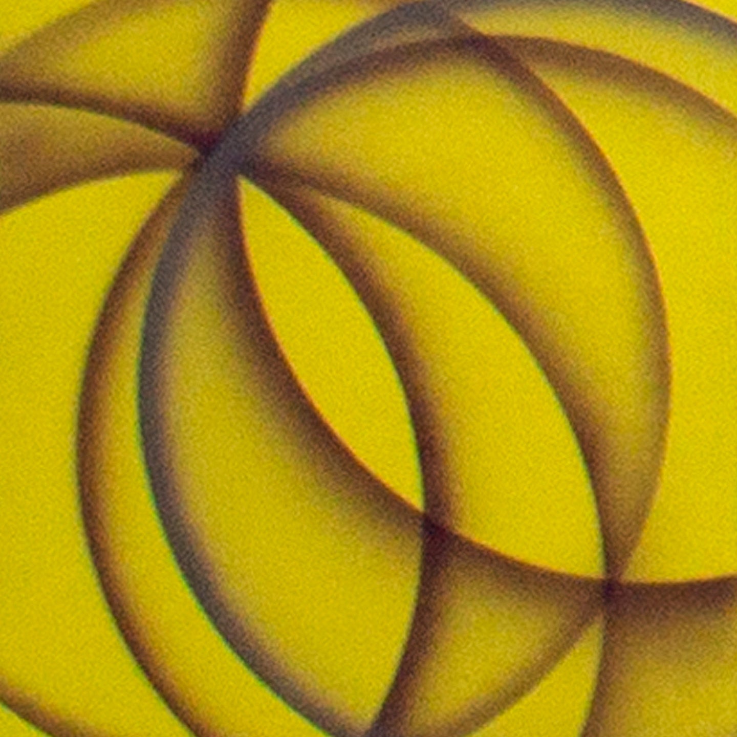 Recordando a Rodchenko
