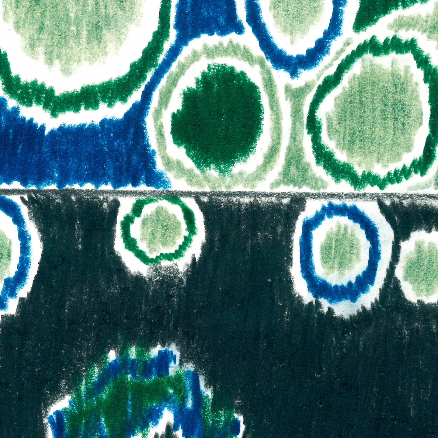 Nocturne plant