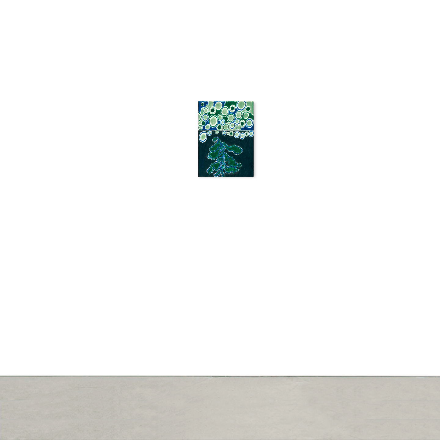 Nocturne plant