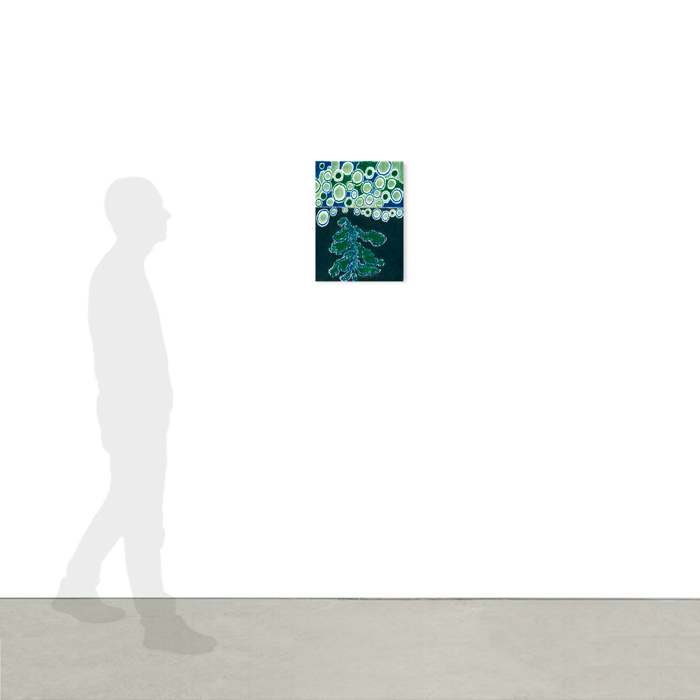 Nocturne plant