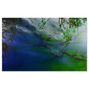 Reflejo involuntario VI