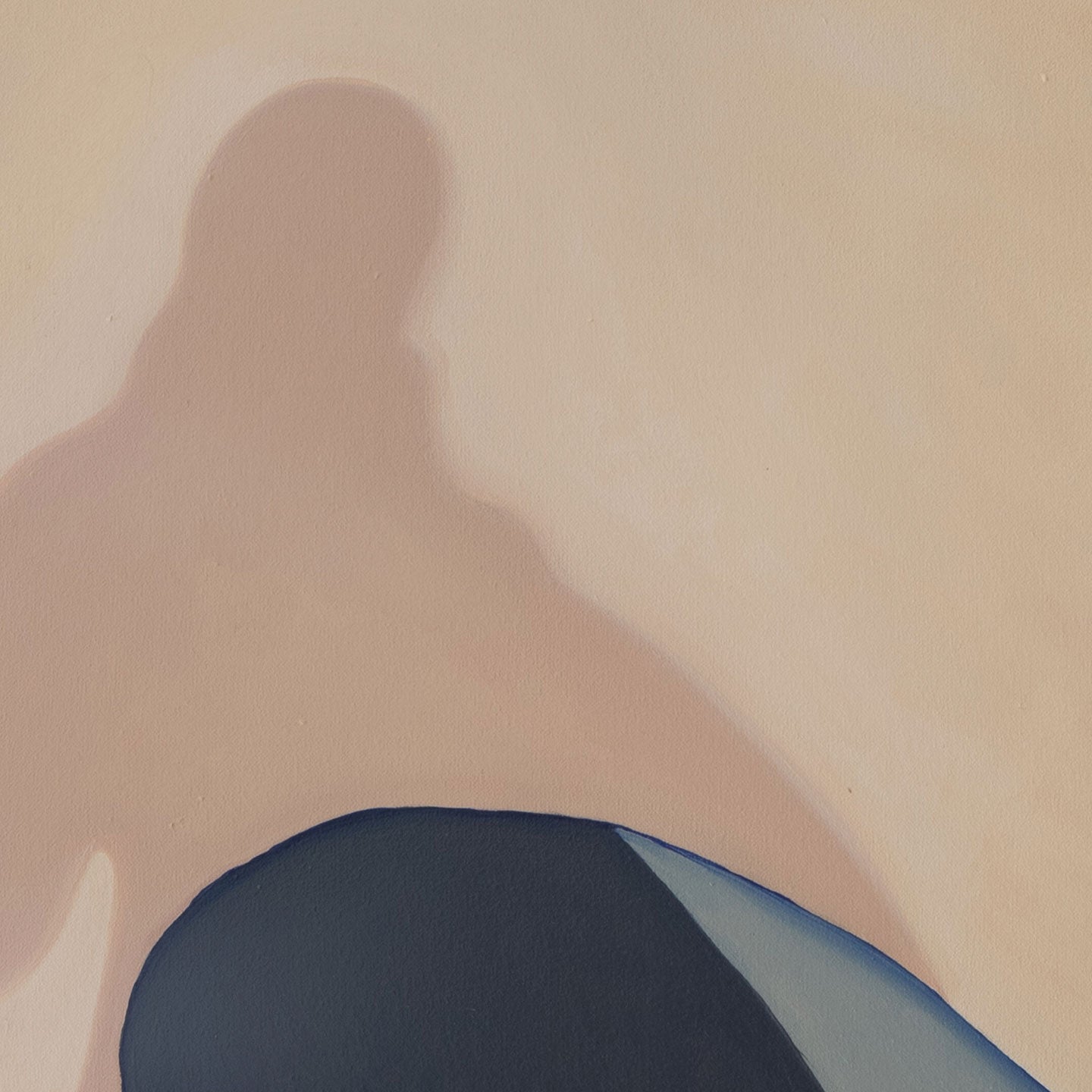 Caminatas con mi sombra