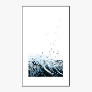 Forms of Water I 