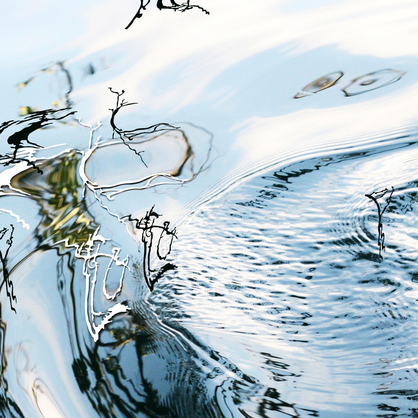 [product_provider] - Formas de Agua I - Collectio